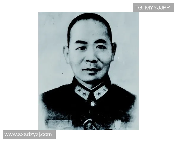 深度对话：陈秀英如何在排球赛场上书写人生传奇与奋斗故事