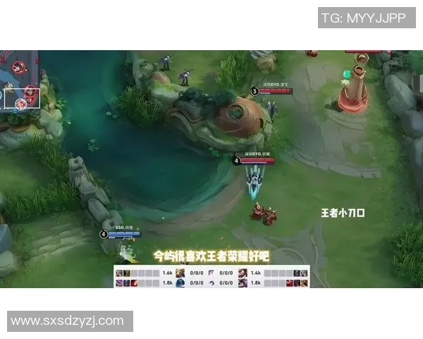 王者荣耀热议:JDG耐力表现引发的争议与讨论分析